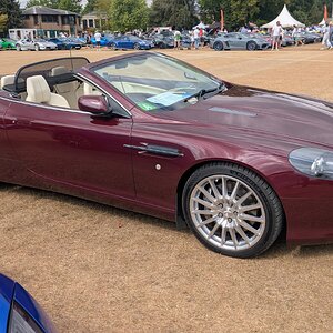 Canford_2026_349.jpg