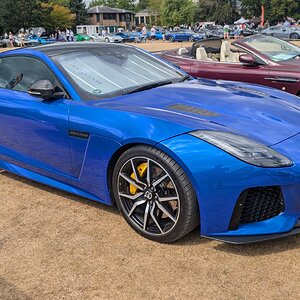 Canford_2026_348.jpg