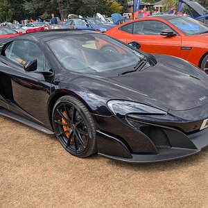Canford_2026_342.jpg