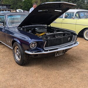 Canford_2026_337.jpg