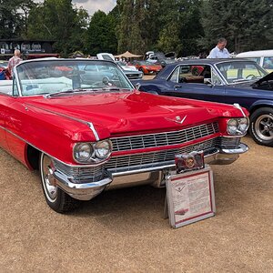 Canford_2026_336.jpg