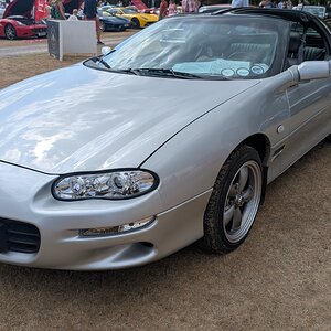 Canford_2026_334.jpg