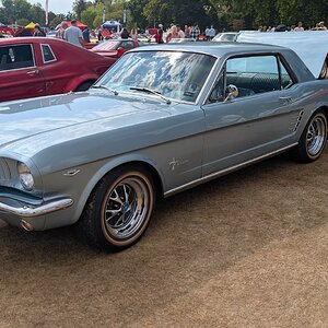 Canford_2026_332.jpg