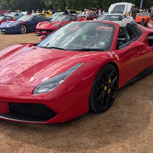 Canford_2026_331.jpg