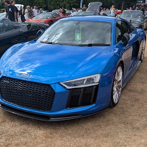 Canford_2026_329.jpg