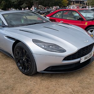 Canford_2026_320.jpg