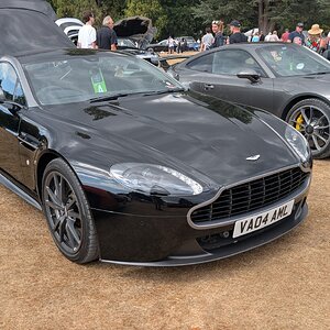 Canford_2026_315.jpg