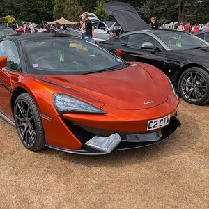 Canford_2026_314.jpg