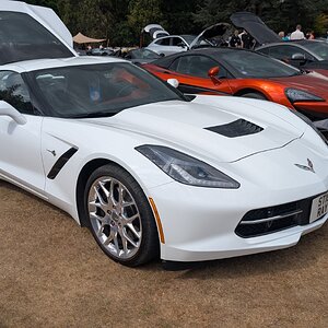 Canford_2026_313.jpg