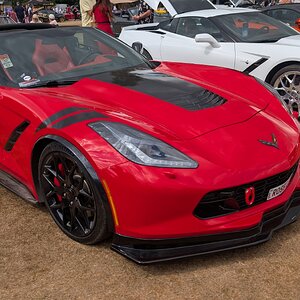 Canford_2026_312.jpg