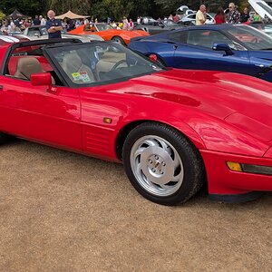 Canford_2026_309.jpg