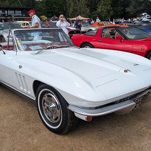 Canford_2026_308.jpg