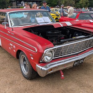 Canford_2026_306.jpg