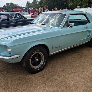 Canford_2026_304.jpg
