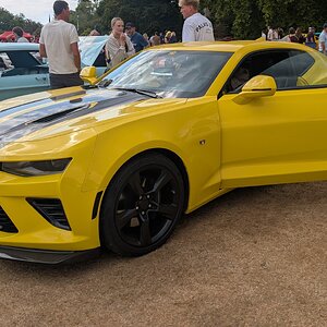 Canford_2026_303.jpg