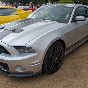 Canford_2026_302.jpg