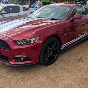 Canford_2026_301.jpg