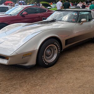 Canford_2026_300.jpg