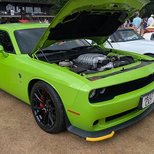 Canford_2026_292.jpg