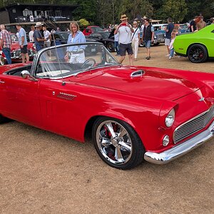 Canford_2026_291.jpg
