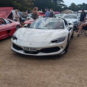Canford_2026_290.jpg