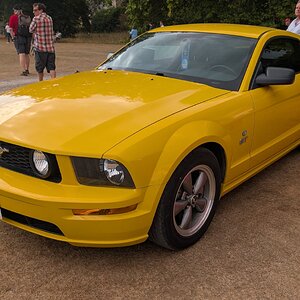 Canford_2026_288.jpg