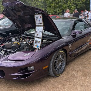 Canford_2026_284.jpg
