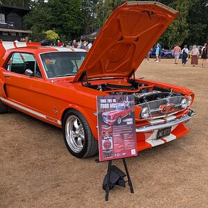 Canford_2026_282.jpg