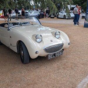 Canford_2026_280.jpg