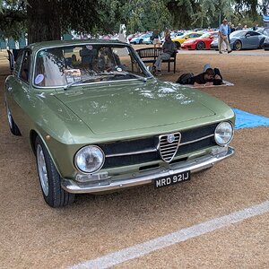 Canford_2026_279.jpg