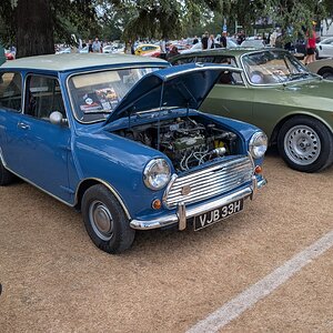 Canford_2026_278.jpg