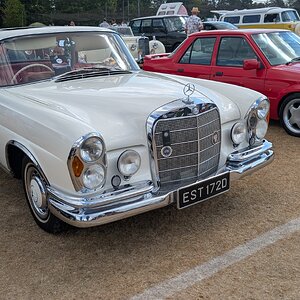 Canford_2026_262.jpg