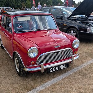 Canford_2026_254.jpg