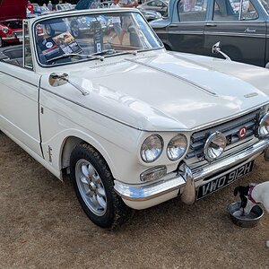 Canford_2026_241.jpg