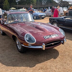 Canford_2026_207.jpg