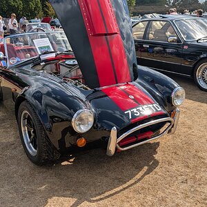 Canford_2026_202.jpg