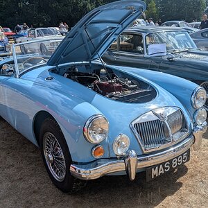 Canford_2026_191.jpg
