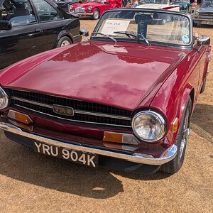 Canford_2026_176.jpg