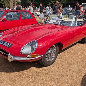 Canford_2026_173.jpg