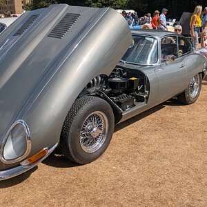 Canford_2026_170.jpg