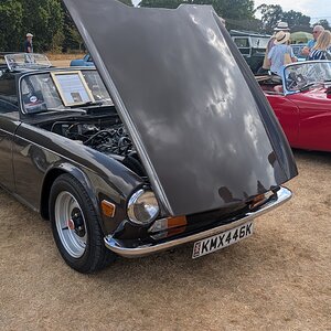 Canford_2026_159.jpg