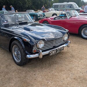 Canford_2026_152.jpg