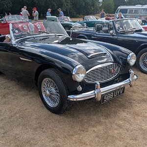 Canford_2026_151.jpg