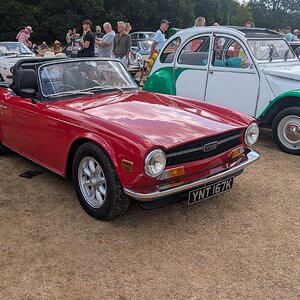 Canford_2026_147.jpg