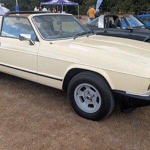 Canford_2026_121.jpg