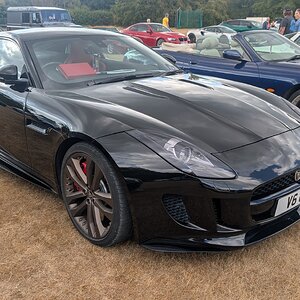 Canford_2026_104.jpg