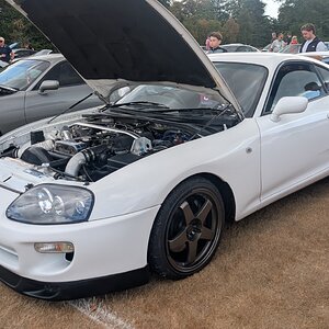 Canford_2026_088.jpg