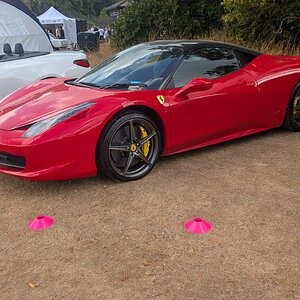Canford_2026_035.jpg