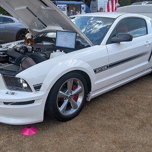 Canford_2026_033.jpg