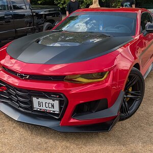 Canford_2026_016.jpg